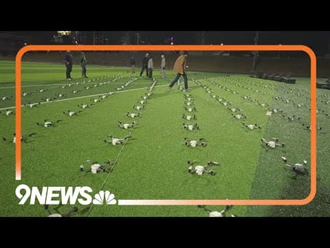 A behind-the-scenes look at Denver's drone shows