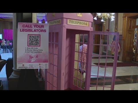 Advocates bring first-ever 'Pink Out' to the Indiana Statehouse