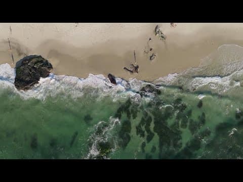 Now is the time to book flights ahead of fall travel, experts say