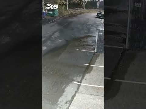 Vandal destroys thousands of gallons of wine at Sparkman Cellars