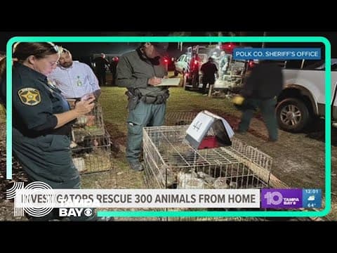 Woman faces animal cruelty, neglect charges after more than 300 animals found inside Frostproof home