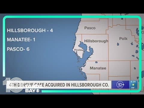 4th case of dengue fever reported in Hillsborough County