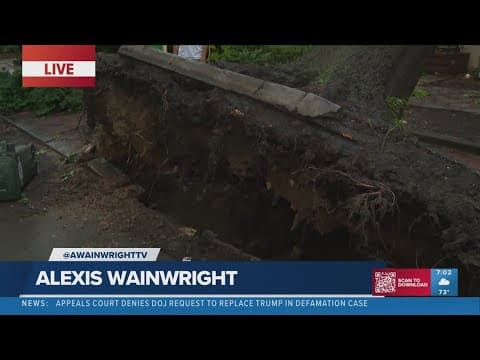 Multiple large trees uprooted in a Foggy Bottom neighborhood