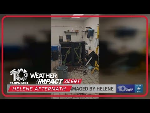 Clearwater aquarium damaged by Hurricane Helene