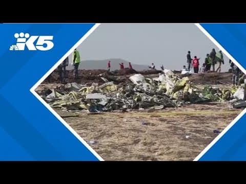 Boeing reportedly trying to walk back plea deal with the DOJ over deadly 737 Max 8 crashes