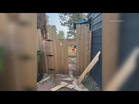 Bear breaks Colorado family's fence to get to trashcan