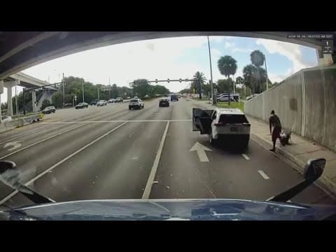 Carjacking suspect drops child off on side of road