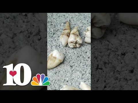 YouTube thumbnail for video mOpqch5WdmI