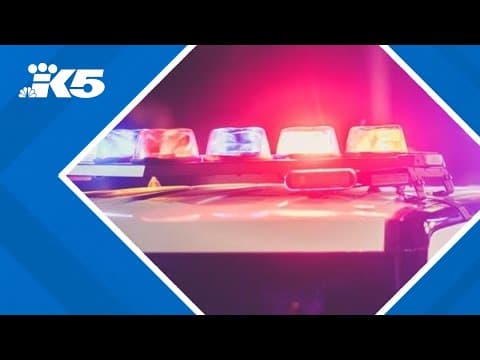 Fight prompts large police response at Southcenter Mall