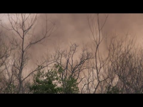 State Fire Marshall lifts burn ban across Louisiana