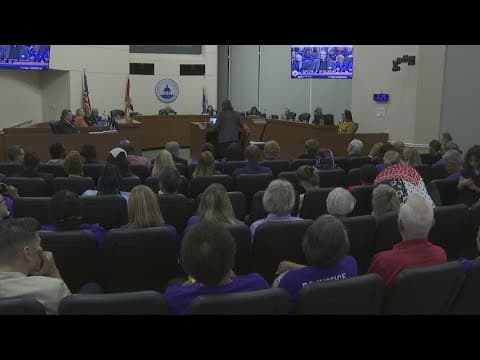 Hillsborough County commissioners to take up DOGE proposal