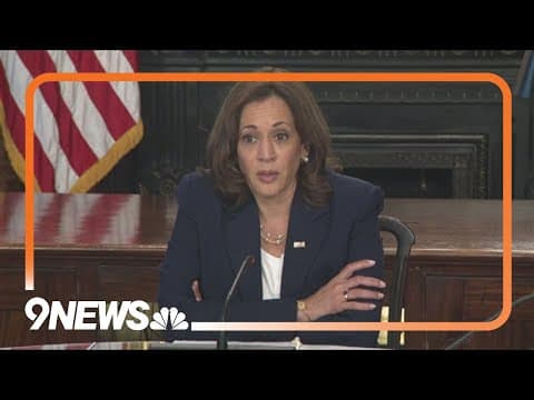 Democratic strategist speaks about implications of Biden dropping out