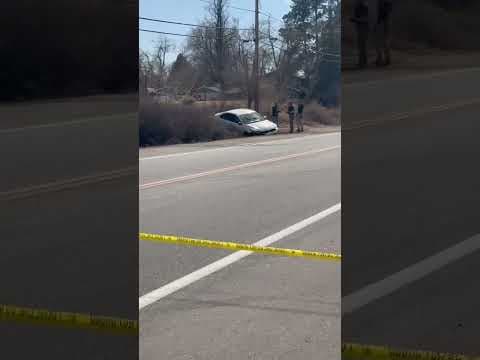 Man shot by deputy after commandeering patrol vehicle near Fort Collins