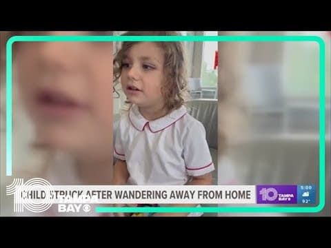 3-year-old killed after wandering away from home