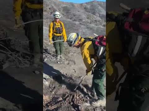 WATCH: How firefighters are making sure hotspots from LA wildfires are completely out