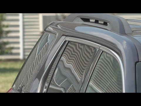 Dog dies in hot car, owners arrested