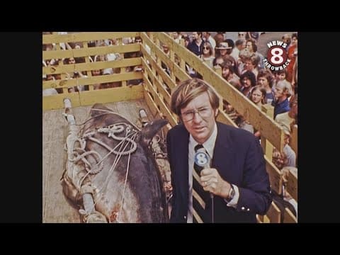 Great white shark caught in July 1975 and displayed at SeaWorld San Diego