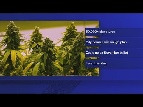 Dallas voters could get the chance to decriminalize small amounts of marijuana