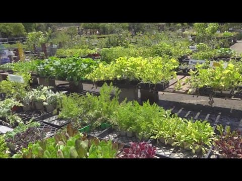 Tips to help your garden thrive