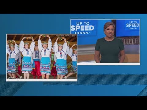 Washington Ukrainian Festival 2025