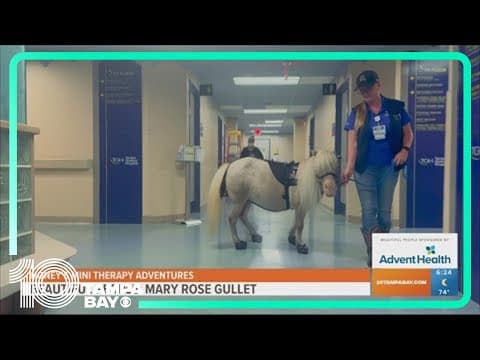 Beautiful People: Mary Rose Gullet and her pony therapy business