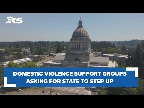 Domestic violence support non-profits asking for the state of Washington to supplement federal fundi