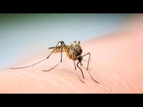 Hamilton County resident tests positive for West Nile virus