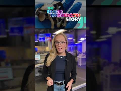 Oregon study tests psilocybin therapy outcomes