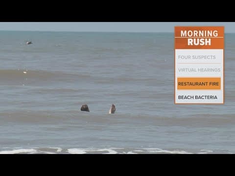 Beloved Tex-Mex restaurant burned down after 50 years