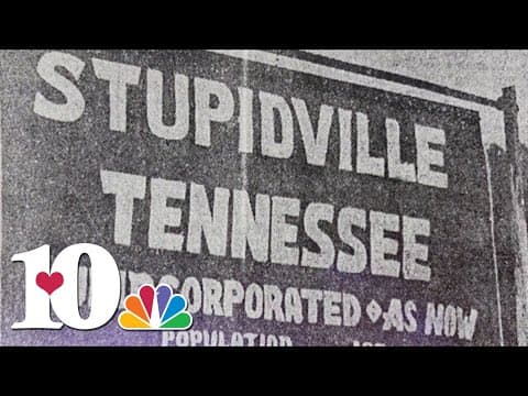The History of Stupidville, Tennessee