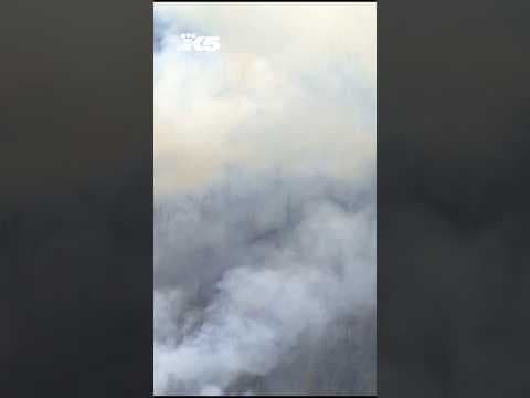 Air quality in Puget Sound impacted by wildfire smoke
