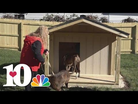 Maryville students build dog house to go with educator's new home after previous house burns down