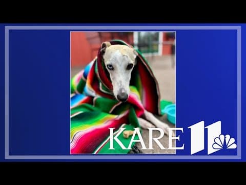 Your Good News: Mary Krafft, Joseph Prostrollo, Jamie Gould, Cindy Rasmussen