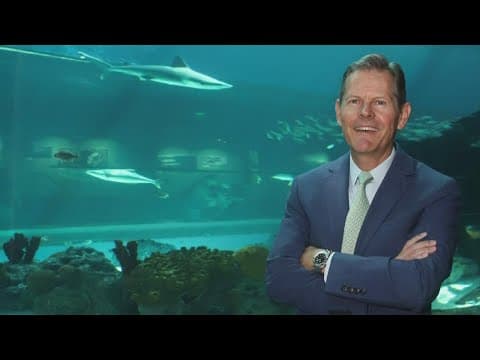 Columbus Zoo's new CEO officially steps into role