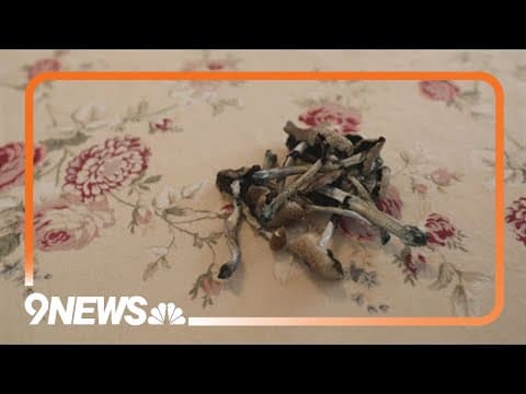 How Colorado's final rules for psychedelic therapy training facilities affect it's future