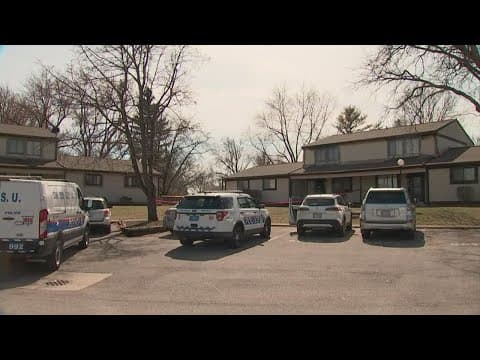 1 dead, 1 in custody after stabbing in north Columbus