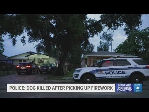 Dog killed after picking up firework in St. Pete