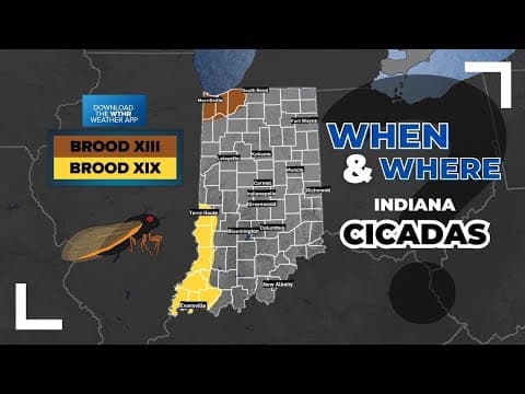 Weather may impact when cicadas come out across Indiana and Illinois | Spring 2024