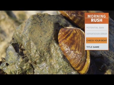 Texas Parks and Wildlife warns against zebra mussels
