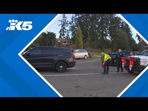 Person killed after shooting involving Bellevue police