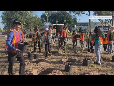 Alief trees project in limbo after federal cuts