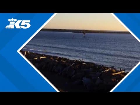 Oregon, California coastlines under tsunami advisory