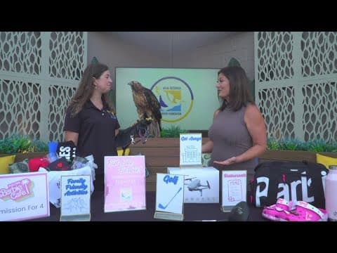 Agua Hedionda Lagoon Foundation to hold 'Bid Like Barbie' silent auction | Aug. 7-14