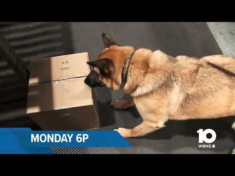 A look at how customs officers are stopping guns, drugs from entering Ohio