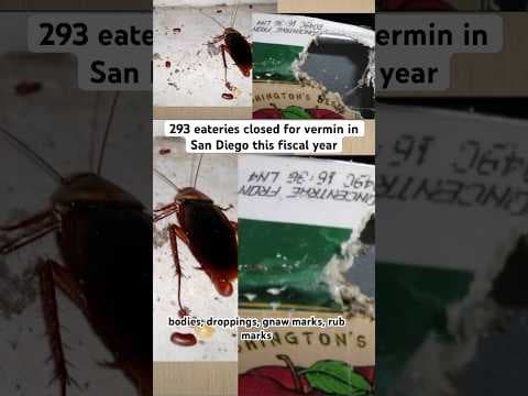 Hundreds of San Diego restaurants have temporarily closed this fiscal year for vermin violations.