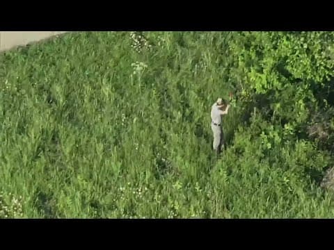 Three bodies found in North Texas creek