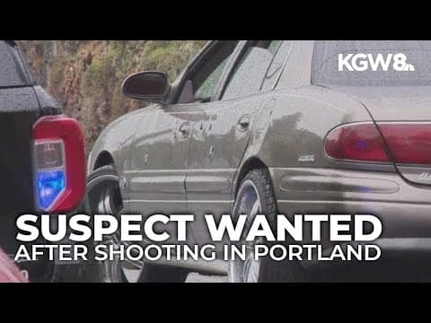 Northeast Portland shooting leaves car with multiple bullet holes