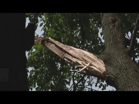 Strong storms early Tuesday causes damage across Indiana