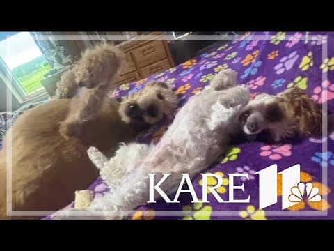 Your Good News: Obie, Kathy Hanson, Joe Haley