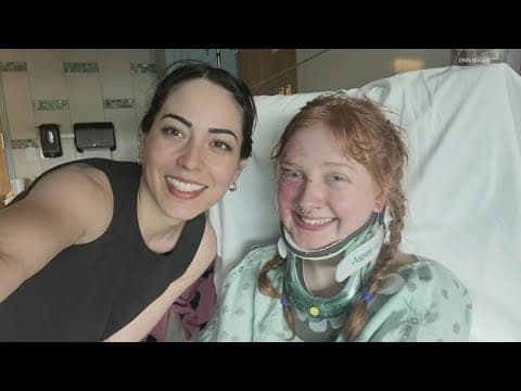 Woman recounts hit-and-run crash; dog owner speaks out after pets fatally shot | 13News Exclusives